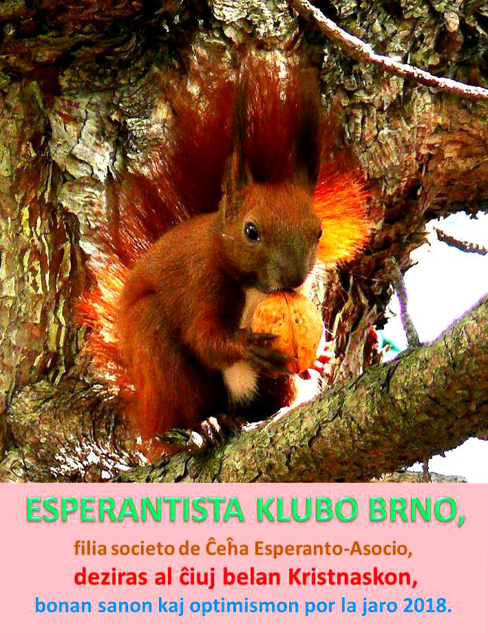 Veverka - novoroční přání